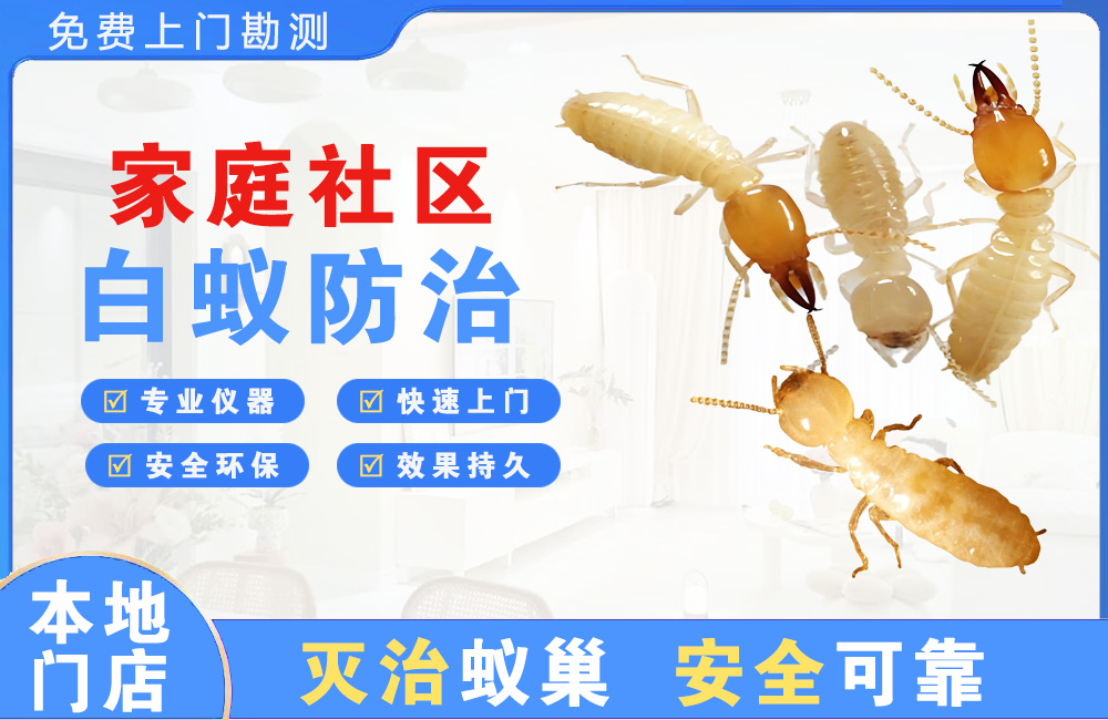 德兴家庭社区白蚁防治