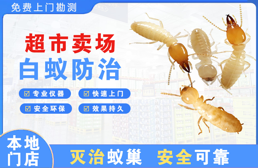 德兴超市卖场白蚁防治