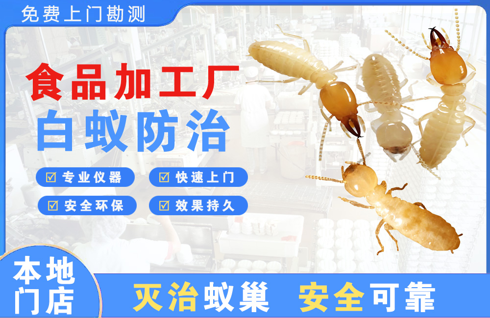 德兴食品加工厂白蚁防治