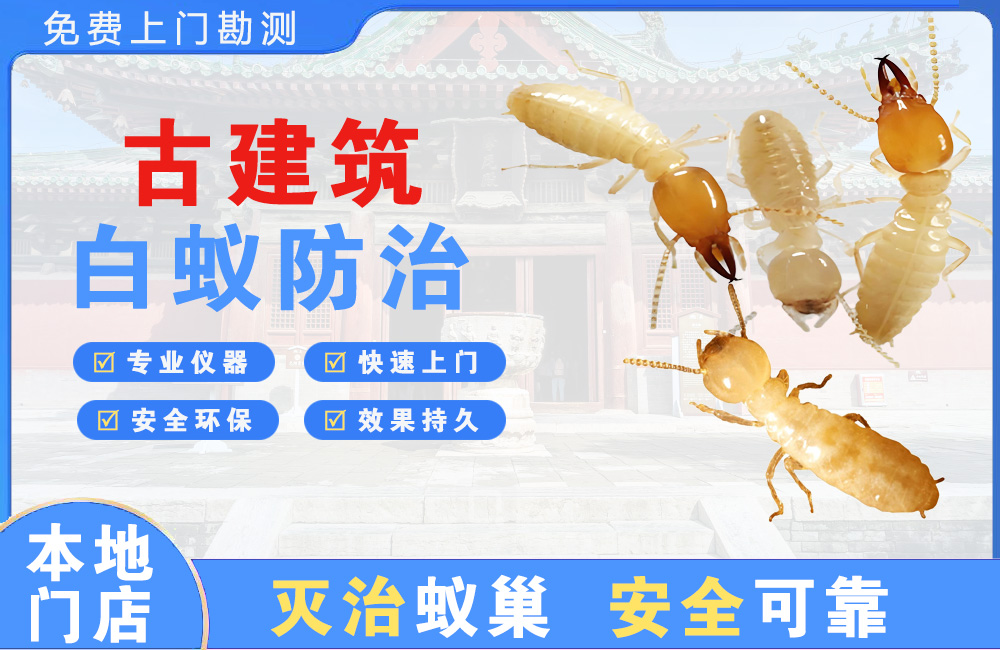 德兴古建筑白蚁防治