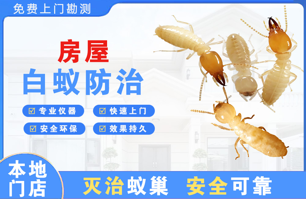 德兴房屋白蚁防治
