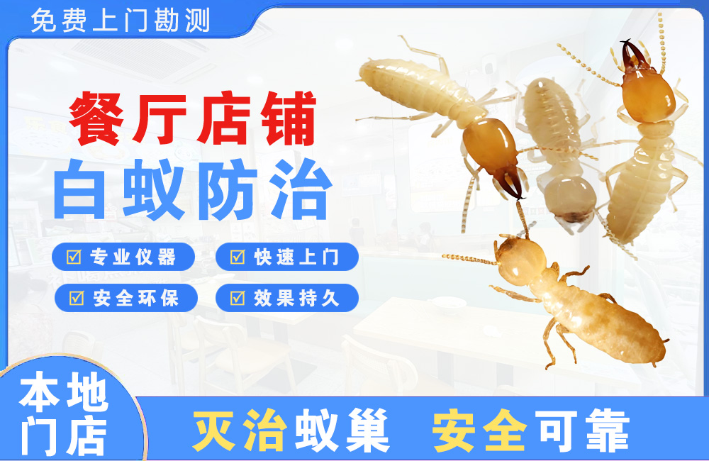 德兴餐厅店铺白蚁防治